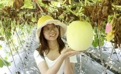 黑料吃瓜网曝一区二区,一区二区神秘事件，真相究竟如何？