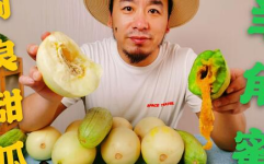 藏族网红吃瓜,从高原走出的“甜野男孩”，流量背后的故事与争议