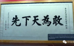 敢为天下先打一字,书写时代发展新篇章
